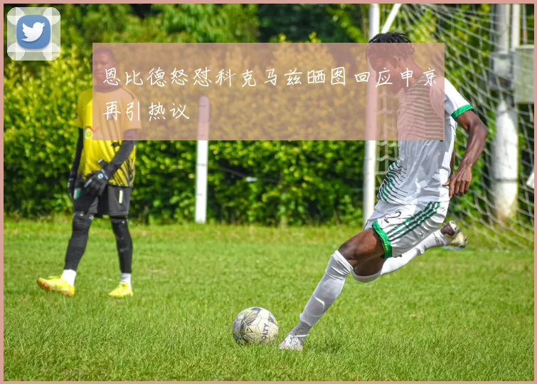 恩比德怒怼科克马兹晒图回应申京再引热议